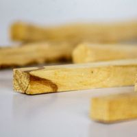 Potion Slinger Palo Santo Stick